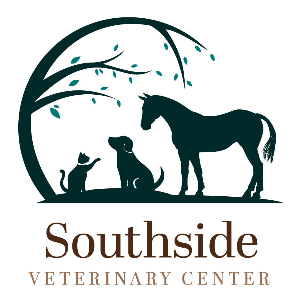 Southside Veterinary Center