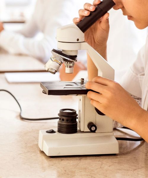 pet-inhouse-lab Vet staff examining sample through microscope